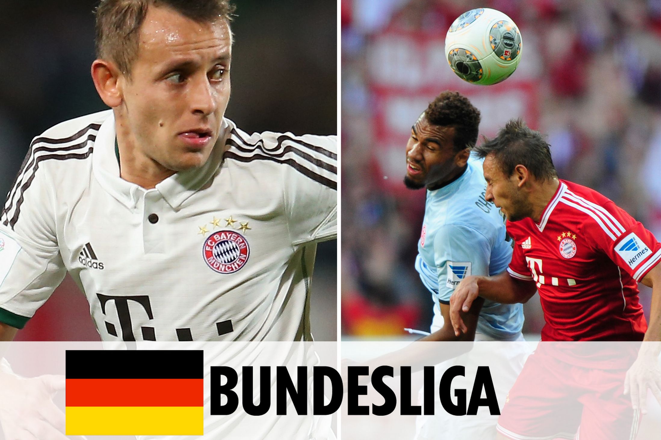 媒体的报道 媒体的报道