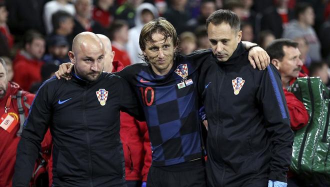 模型中的劣 模型中的劣