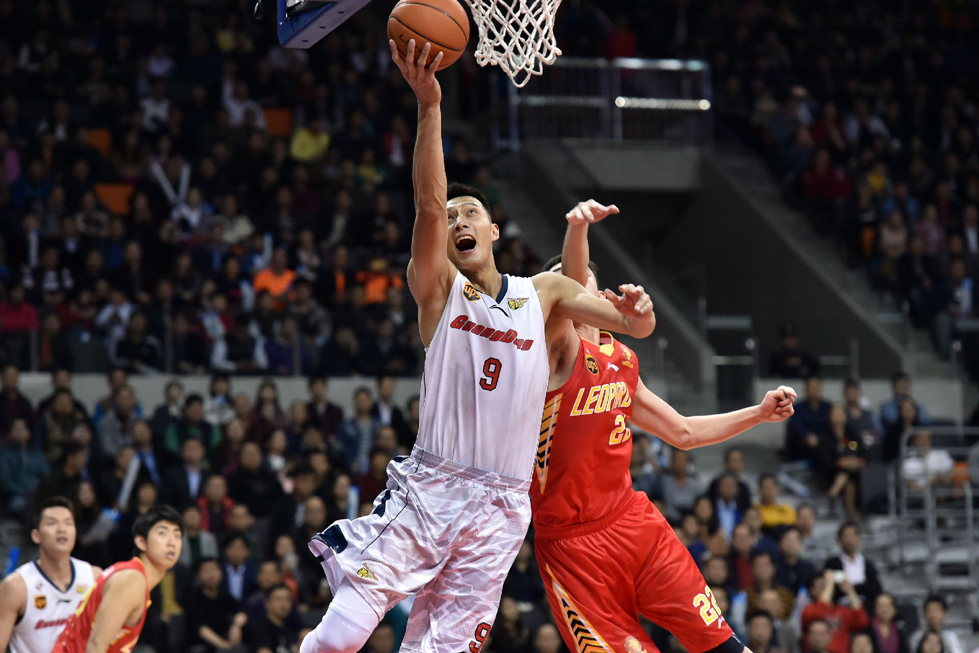 选择保守的 选择保守的