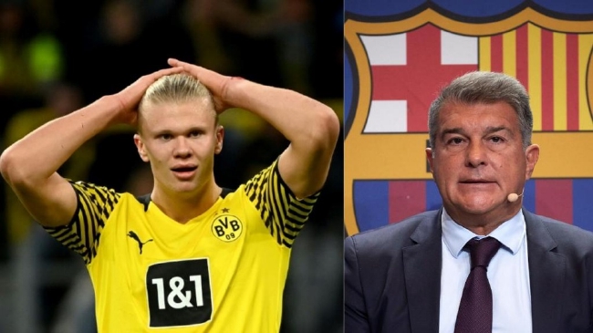 野辅联动 野辅联动